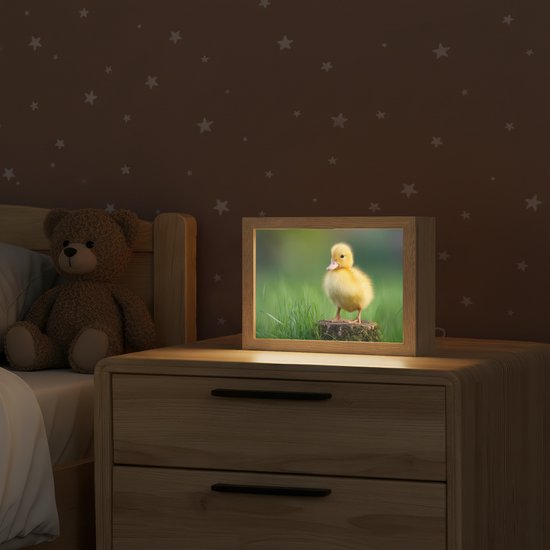 Nachtlampje 20x15 cm - Kinder lampje - Kuiken - Eend - Geel - Gras - Tafellamp kinderkamer - Slaapkamer lamp - Bedlamp kinderen - Kinderlampje stopcontact - Wandlamp babykamer - Nachtlampjes van Merkloos — afbeelding 2