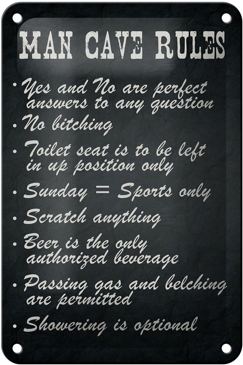 Blechschild Spruch 12x18cm man cave rules Männer Regeln