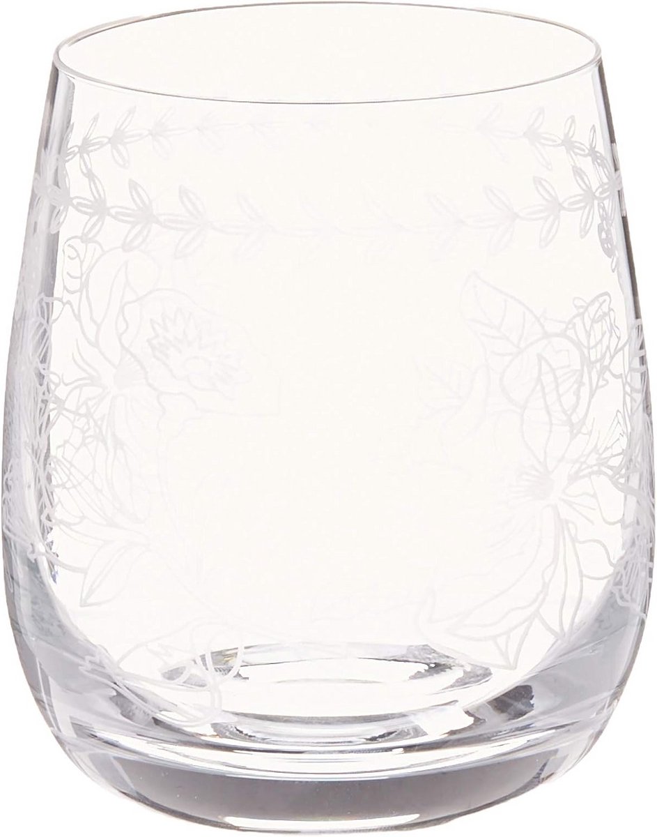 Set van 4 Drinkglazen met Botanische Print