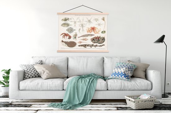 Porte-affiche avec affiche - Affiche scolaire - Animaux aquatiques - Vintage - Illustration - 150x113 cm - Lattes noires