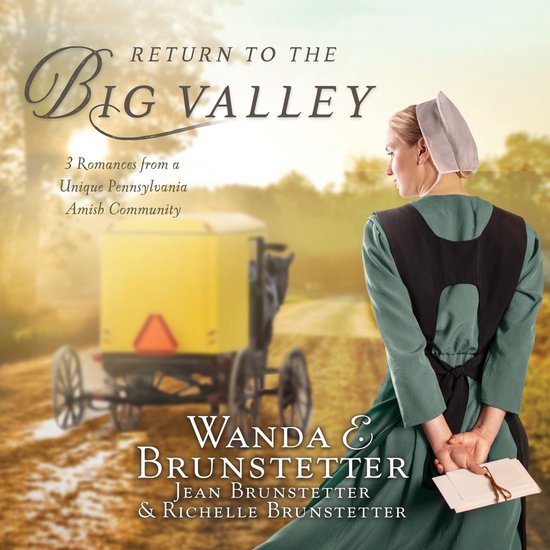 Return to the Big Valley - cover