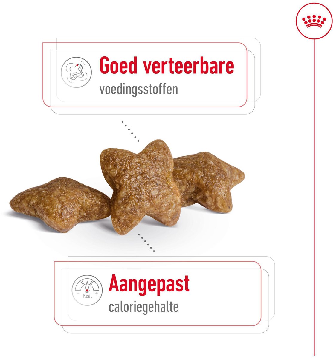 Royal Canin Royal Canin Mini Adult + ROYAL CANIN® Mini Adult Wet Combi - Hondenvoer - 8kg + 12x195g