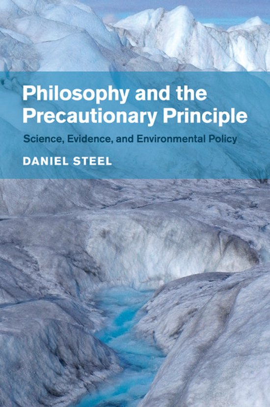 Boekomslag met de titel "Philosophy and the Precautionary Principle", onder een ijzige bergtop.
