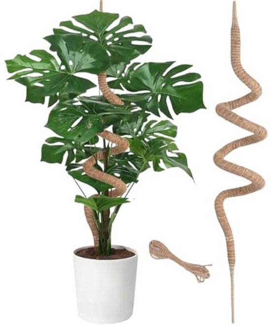 63 Inch Buigbare Mosstok voor Monstera Plantensteun - Ideaal voor Klimplanten