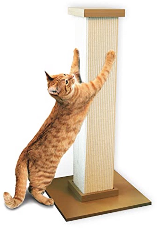 Home - SmartCat (English) - at University of Groningen