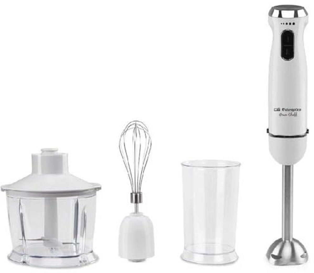 Krachtige Staafmixer met Turbofunctie en Accessoires 1000 W Roestvrij Staal BPA-vrij