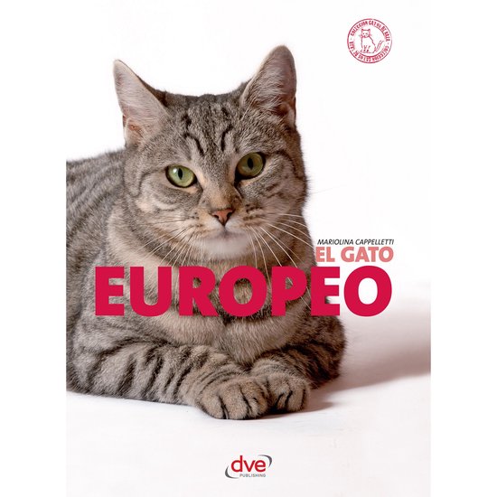 El gato Europeo - cover