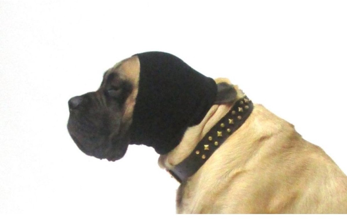 Oorbeschermer hond Large | Honden oorbescherming
