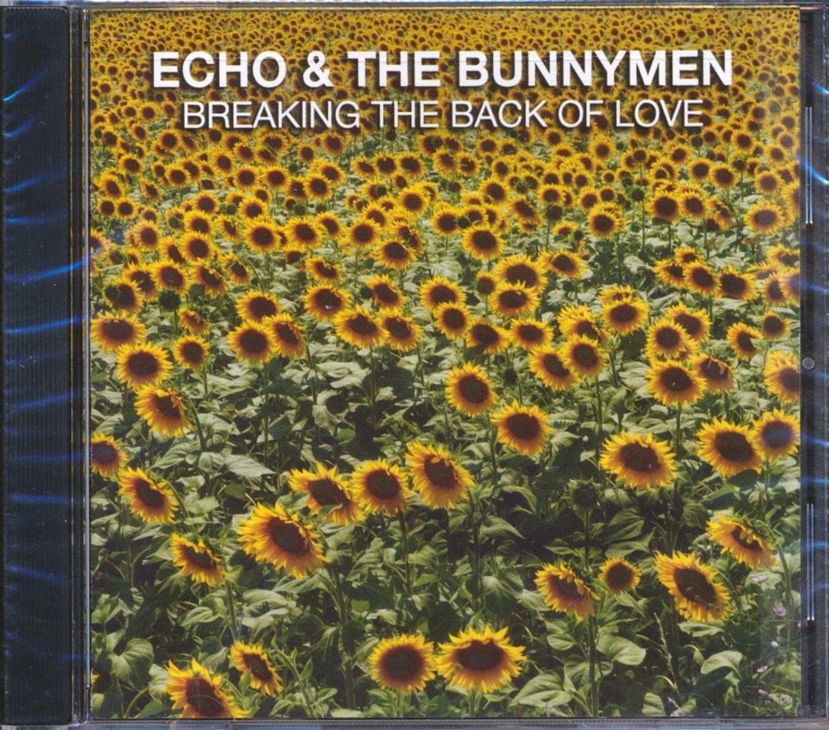 Breaking The Back Of Love - Post-Punk Psychedelic Live Album