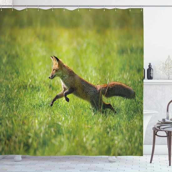 SDOTPMT 165x180cm Fun Honden Douchegordijn Interessant Droom Kinderachtig Wit Plank Badgordijn Lichtblauw Oceaan met Dier Goudvis Nautisch Badgordijn voor Badkamer Decor met Haken SDOTPMT 165x180cm Fun Honden Douchegordijn Interessant Droom Kinderachtig Wit Plank Badgordijn Lichtblauw Oceaan met Dier Goudvis Nautisch Badgordijn voor Badkamer Decor met Haken