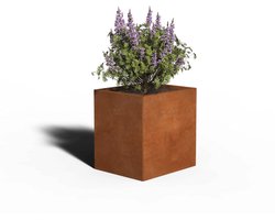 Cortenstaal Plantenbak Rechthoek | 60 x 50 x 40 | Met bodem