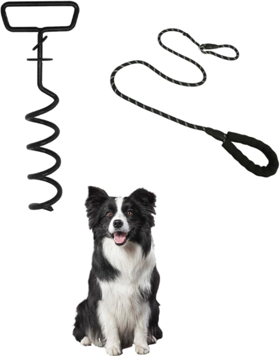 Aanlegpblok voor Honden met Riem - Ideaal voor Camping en Buitenshuis