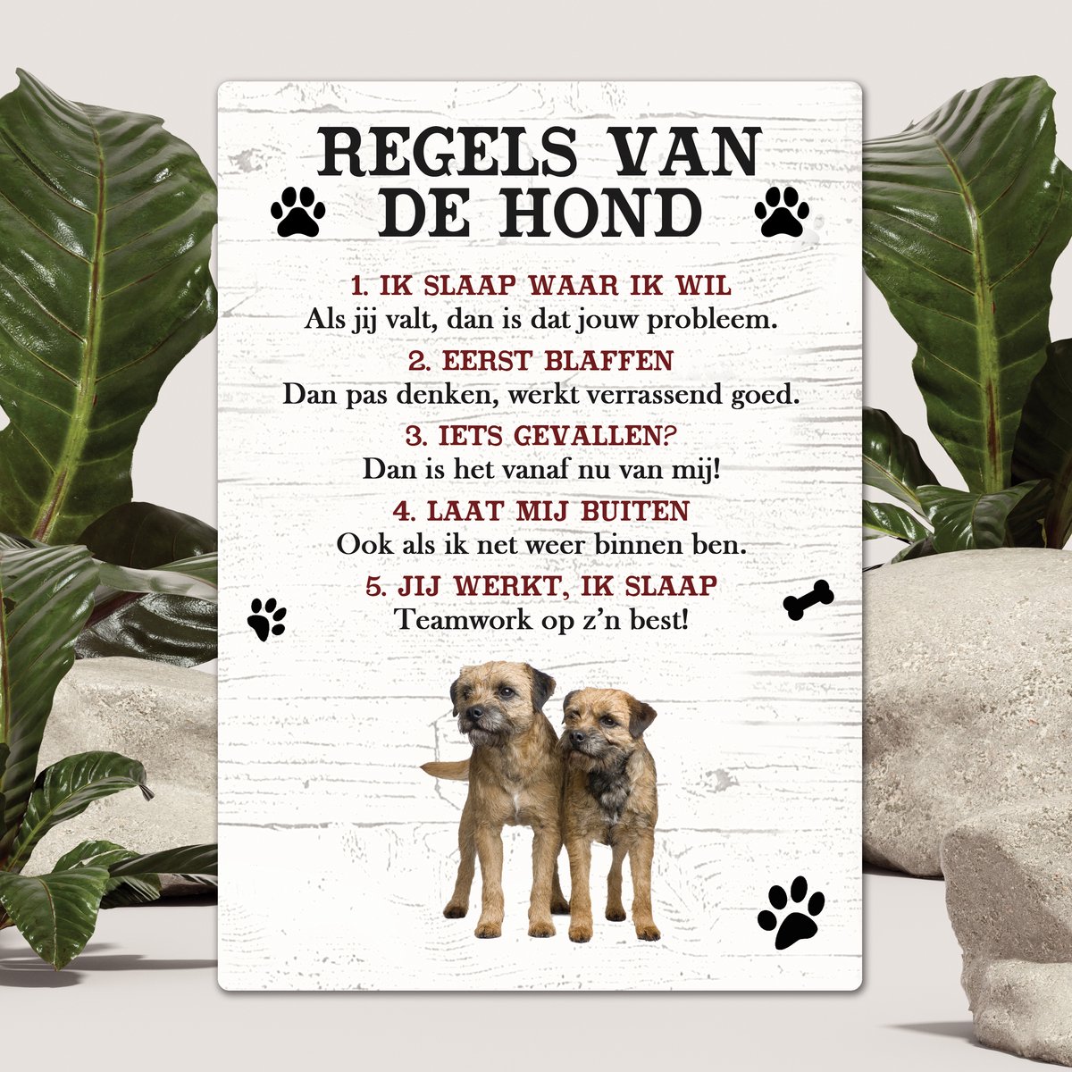 Spreuken - Border Terriër - Regels Van De Hond - Spreuken Bordjes - Spreukenbord - Tekstborden - Cadeau - Hondenras