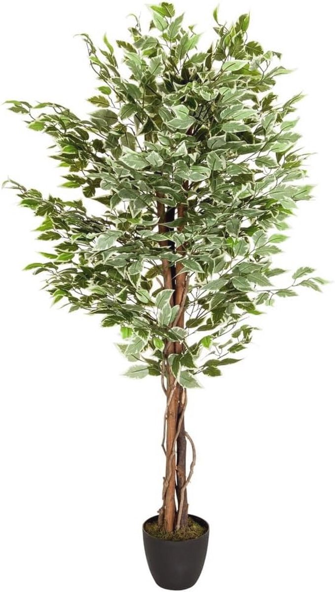Kunstplant Ficus Benjamini 165 cm - Realistische Decoratie voor Binnen