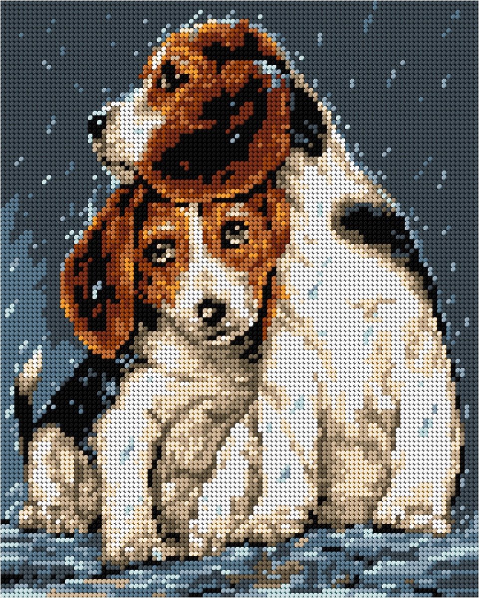 Borduurpakket Canvas 24x30cm met Garen - Ariadna 6033