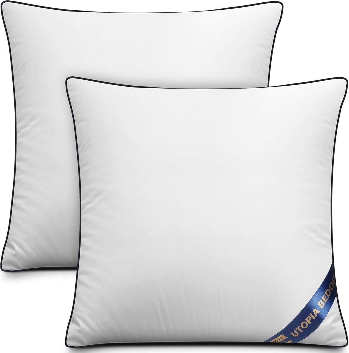 Set van 2 Kussens 40x40 cm voor Bed en Bank - Comfortabel en Stijlvol