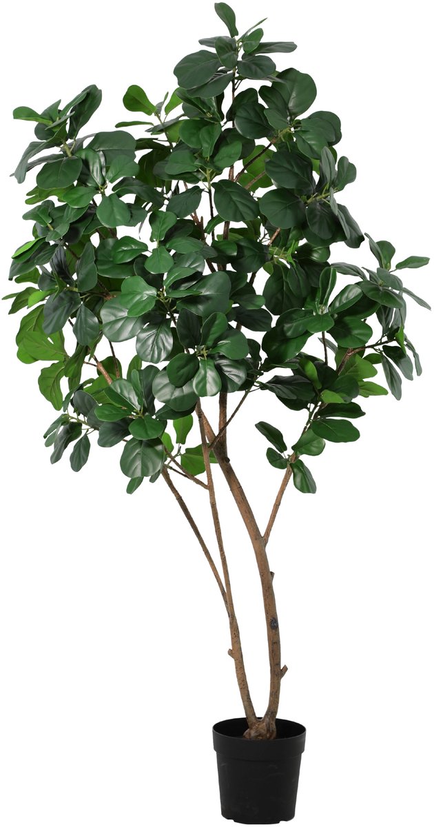 Florafy Kunstplant Ficus Lyrata XL 180cm - Kunstplanten voor binnen - Onderhoudsvrij Groen