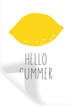 Muurstickers - Sticker Folie - Illustratie met de quote "Hello summer" en een citroen - 20x30 cm - Plakfolie - Muurstickers Kinderkamer - Zelfklevend Behang - Zelfklevend behangpapier - Stickerfolie