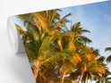 PDP.ProductImage.Thumb.Image.srtText 9