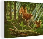 Peintures sur toile - un écureuil à côté d'une souche d'arbre - 120x90 cm - Décoration murale