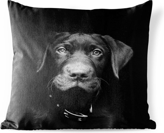 Buitenkussens - Tuin - Close-up labrador puppy tegen zwarte achtergrond in zwart-wit - 50x50 cm