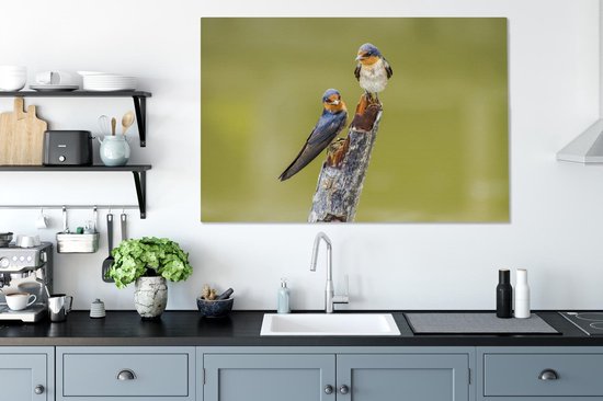Hirondelles sur une branche toile 2cm 140x90 cm - impression photo sur toile peinture (Décoration murale salon / chambre à coucher) / Animaux sauvages Peintures Toile