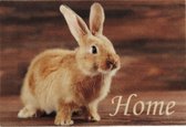 Ikado Deurmat foto konijntje 40 x 60 cm