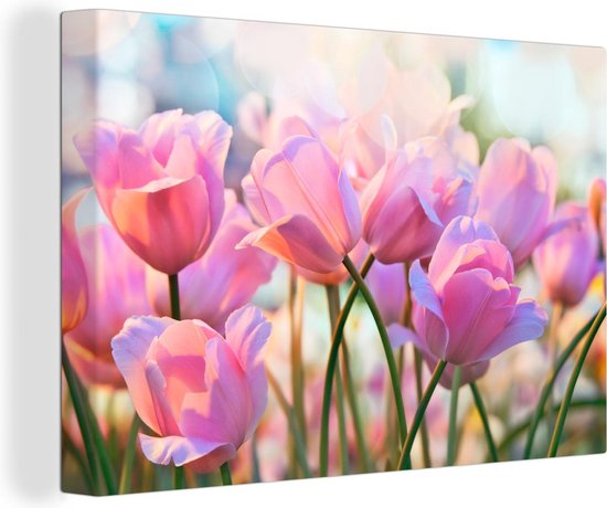 Canvas Schilderij Tulpen - Roze - Lente - 90x60 cm - Wanddecoratie