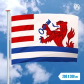 Vlag Terneuzen 200x300cm