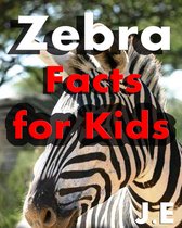 Zebra Facts for Kids: Fun Facts about Zebras
