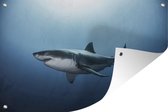 Tuindecoratie Zijaanzicht grote witte haai - 60x40 cm - Tuinposter - Tuindoek - Buitenposter
