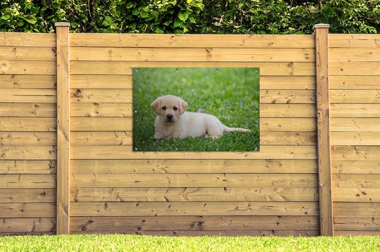 Affiche de jardin Puppy labrador dans l'herbe en vrac 120x80 cm - Toile de jardin / Toile d'extérieur / Peintures pour l'extérieur (décoration de jardin)