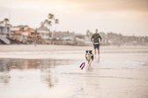 West Paw Seaflex™  Snorkl -  Duurzaam Hondenspeelgoed - Voor Energieke Honden – in Roze, Groen en Blauw - Ideaal voor Trekspel - Snorkl Emerald Groen