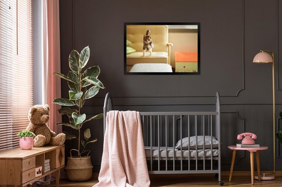 Photo encadrée - Chat sautant du canapé cadre photo noir sans passe partout 90x60 cm - Affiche encadrée (Décoration murale salon / chambre)