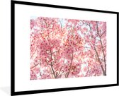 Cadre photo Fleur de cerisier au Japon noir avec passe partout blanc 60x90
