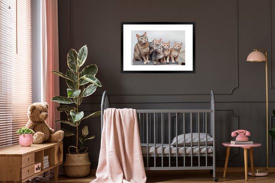 Photo encadrée - Cadre photo chatons curieux noir avec passe partout blanc 60x90 90x60 cm - Affiche encadrée (Décoration murale salon / chambre)