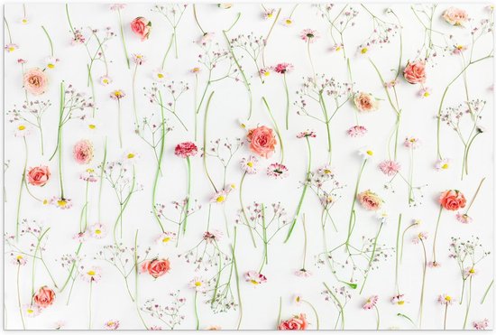 Poster – Patroon van Bloemen op Witte Achtergrond - 60x40cm Foto op Posterpapier
