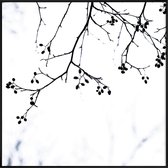 JUNIQE - Poster in kunststof lijst Winter Silhouettes 4 -30x30 /Wit &