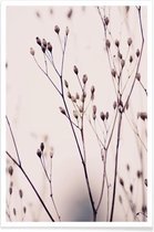 JUNIQE - Poster Wild Flower Pastel 3A Beige -30x45 /Bruin & Ivoor