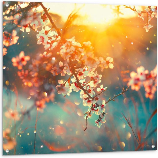 Tuinposter – Zonnestralen door Takken van Bloesemboom - 100x100cm Foto op Tuinposter  (wanddecoratie voor buiten en binnen)