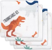 Jollein Hydrofiel Multidoek 70x70cm - Dinosaur - 4 Stuks