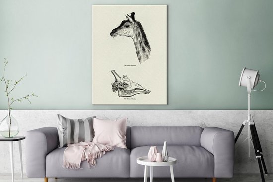 Une illustration de la tête et du crâne d'une girafe sur toile 120x160 cm - Tirage photo sur toile (Décoration murale salon / chambre) XXL / Groot format!
