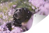 Tuinposter - Tuindoek - Tuinposters buiten - Hond - Bloemen - Huisdier - 120x80 cm - Tuin