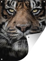 Tuinschilderij Portretfoto tijger op zwarte achtergrond - 60x80 cm - Tuinposter - Tuindoek - Buitenposter