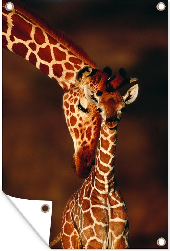 Portret van een giraffe met haar kalf