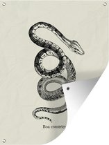 Une illustration vintage d'un affiche de jardin boa constrictor 30x40 cm - petit - Toile de jardin / Toile d'extérieur / Peintures pour l'extérieur (décoration de jardin)