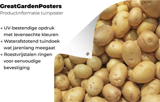 Pommes de terre pelées en tas dans les basses terres du Chili Poster jardin 80x120 cm - Toile de jardin / Toile d'extérieur / Peintures pour l'extérieur (décoration de jardin)