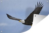 Muurdecoratie Amerikaanse zeearend - Adelaar - Vliegend - Vogels - 180x120 cm - Tuinposter - Tuindoek - Buitenposter