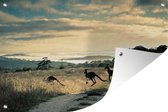 Muurdecoratie Kangoeroes op de weg fotoprint - 180x120 cm - Tuinposter - Tuindoek - Buitenposter