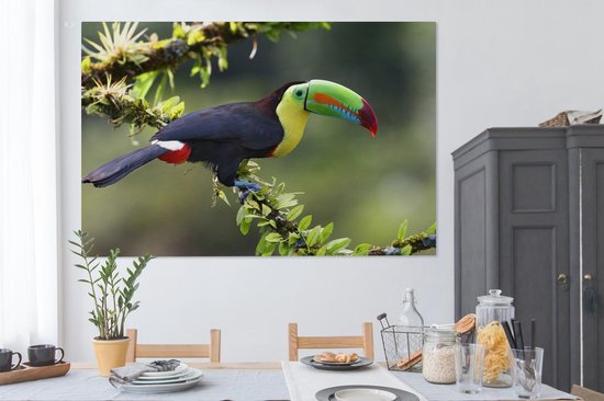 Tableau sur toile Un toucan sur une brindille fleurie - 150x100 cm - Décoration murale